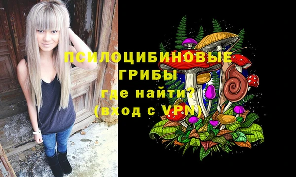 марки nbome Богданович