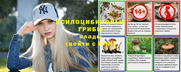марки nbome Богданович