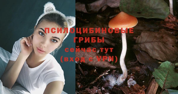 метамфетамин Богородицк