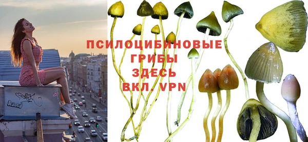 ALPHA PVP Богородск
