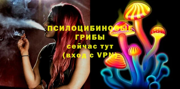 марки nbome Богданович