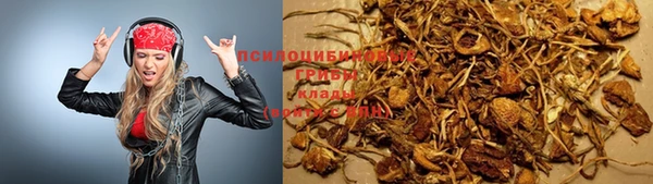 ALPHA PVP Богородск