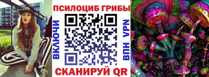 дарк нет телеграм наркошоп Дубовка Галлюциногенные грибы Magic Shrooms